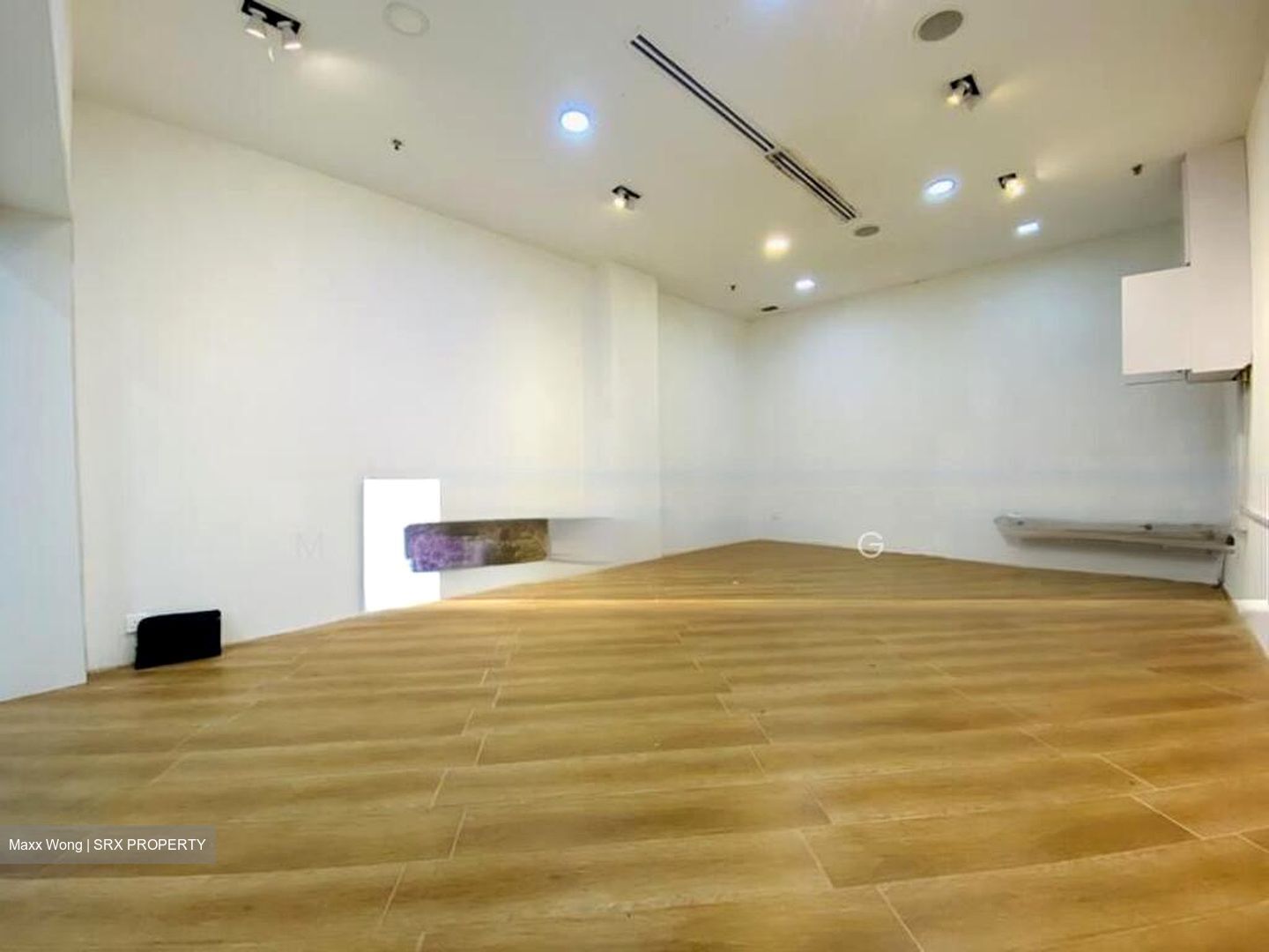 Bukit Timah Plaza / Sherwood Towers (D21), Retail #495893381